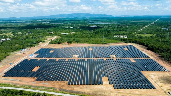 Energi Hijau Booming 6 Cara Investasi Sukses 2026